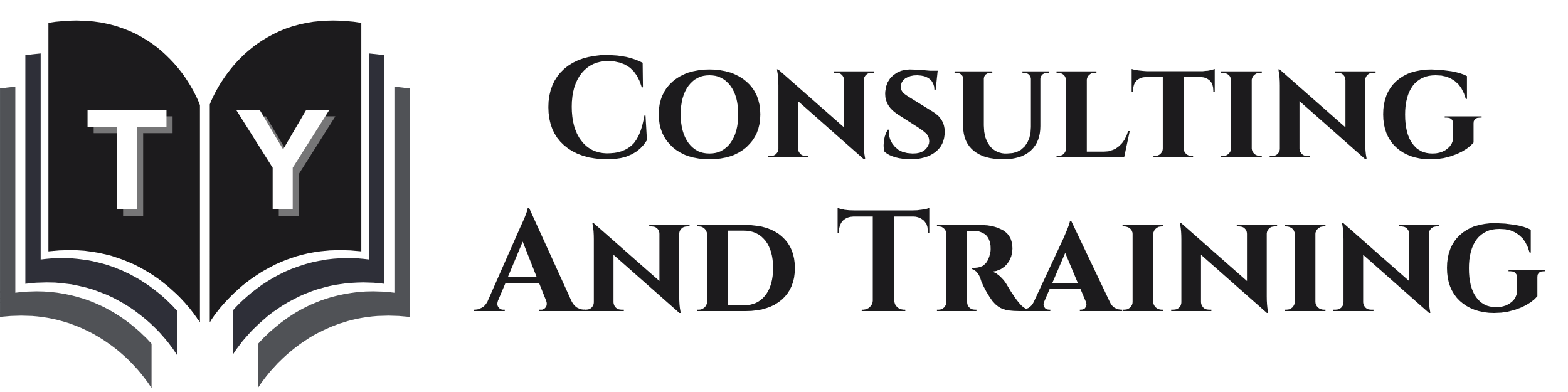 TY-ACCA-Consulting-and-training-logo